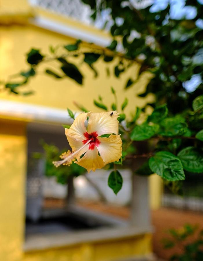 Parul - Elegant Heritage Home At The Heart Of Shantiniketan Exterior photo